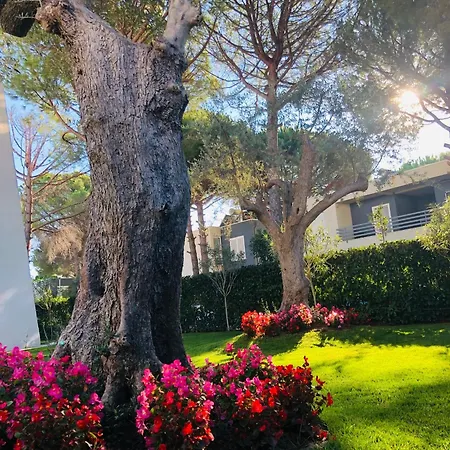 Neziri Villa *
