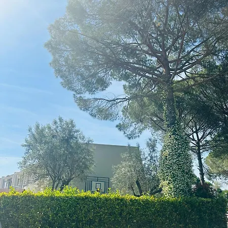 Neziri Durrës