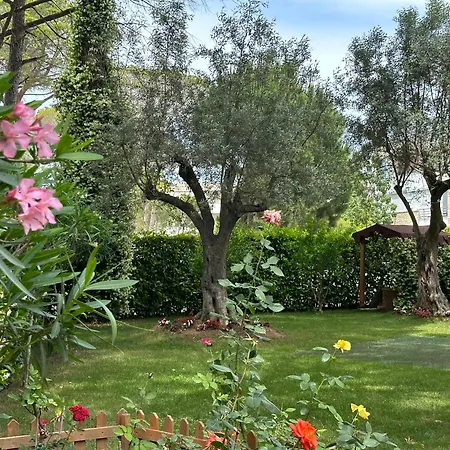 Villa Neziri *